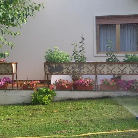 Hotel Le Vigne Contigliano Esterno foto