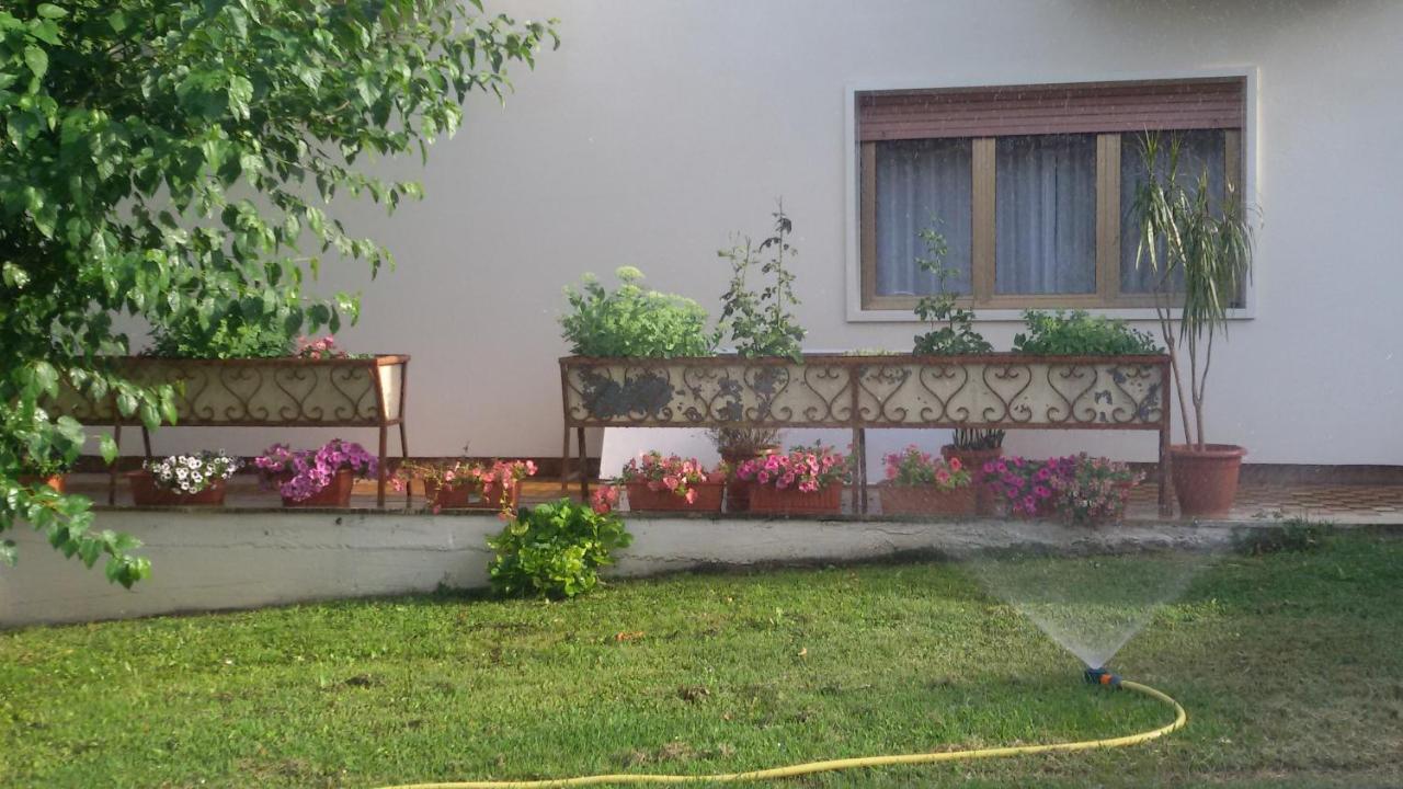 Hotel Le Vigne Contigliano Esterno foto